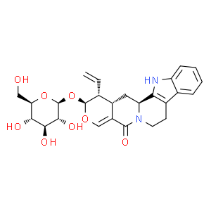 異長春花苷內(nèi)酰胺