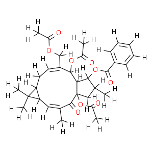 千金子素L7b